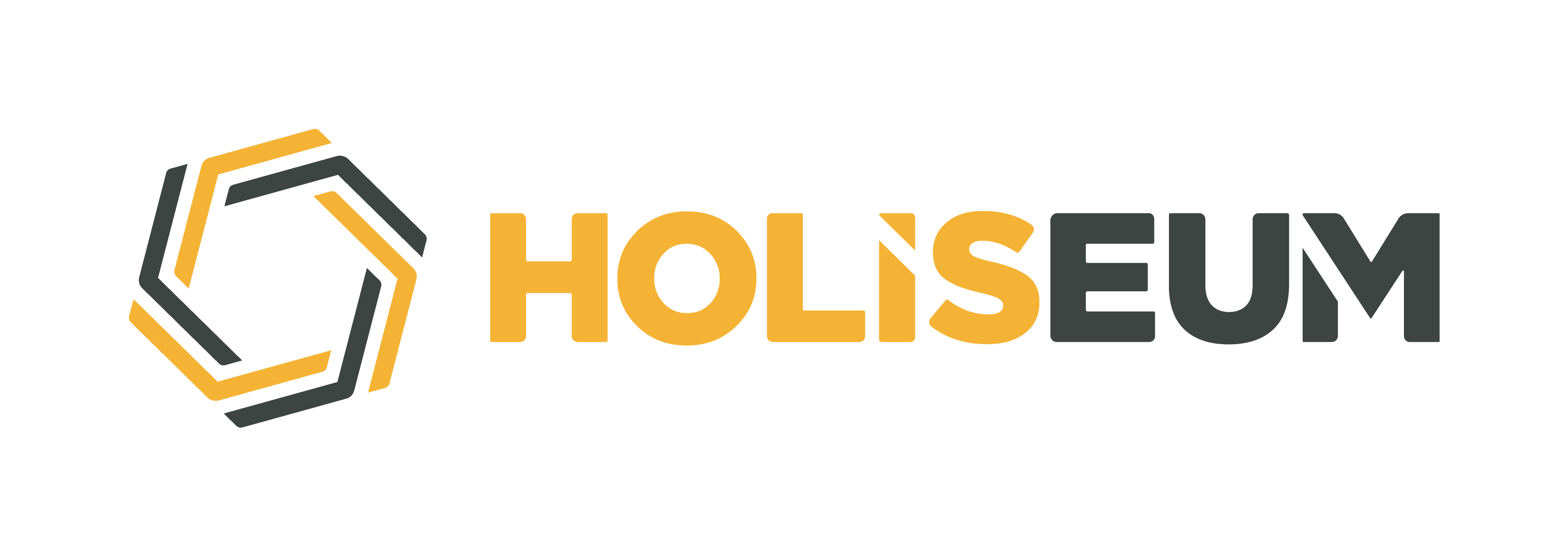 logo Holiseum