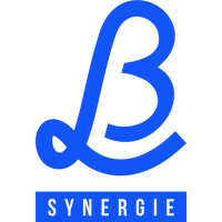 logo letb-synergie