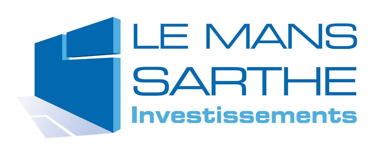 logo-lmsi